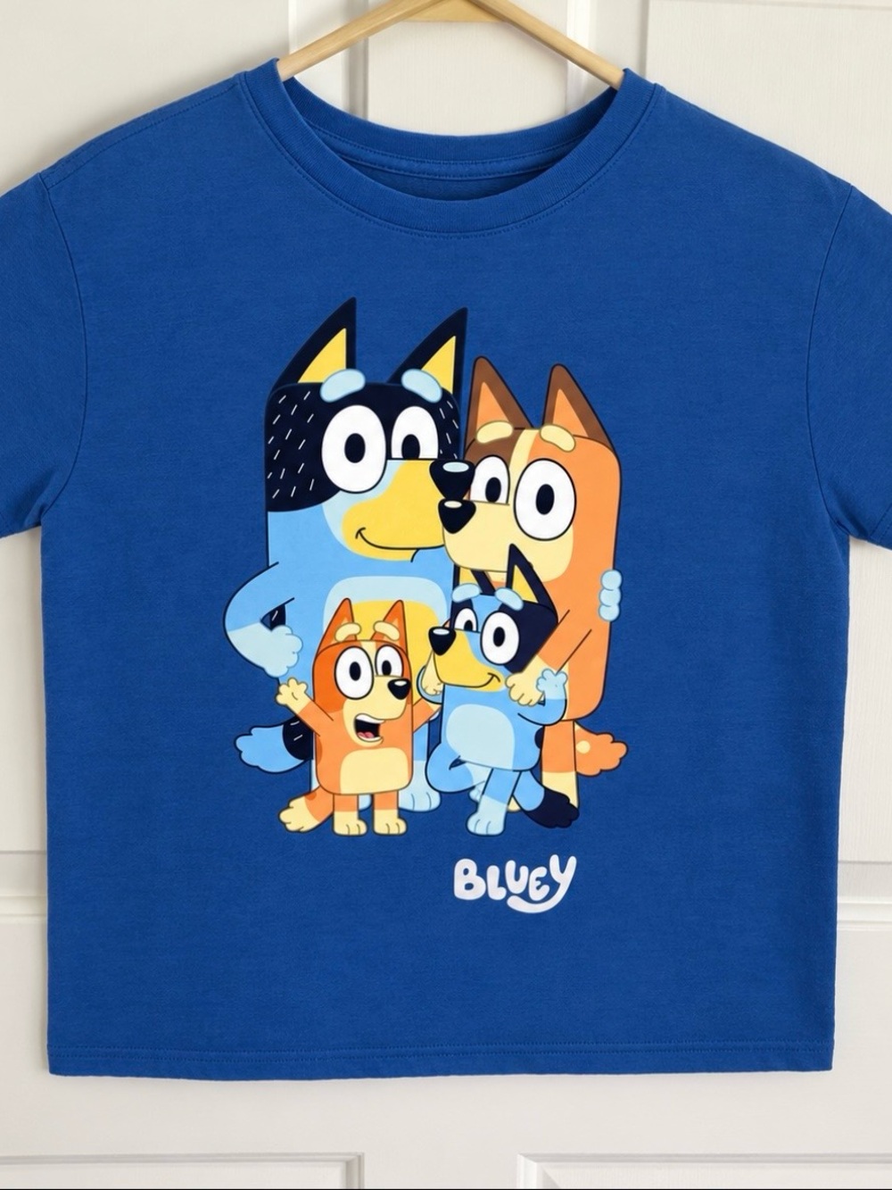 Bluey Graphic T-shirt - Unisex